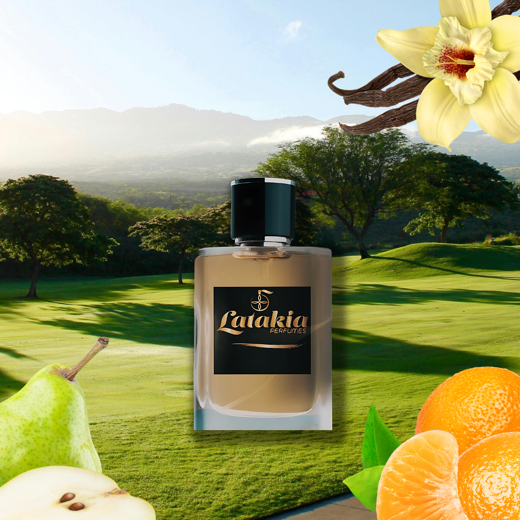 Contrasting Bloom (FD53)